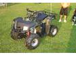 Cool Sports 110 Cc Youth Atv (Baja)