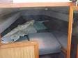 1988 CENTURY Palomino Cuddy - 20 Foot,  MECHANIC'S SPECIAL -