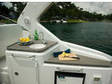 2006 Regal 3360 Window Express 24 freshwater hours