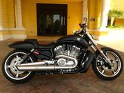 harley-davidson v-rod