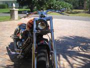 2004 Arlen Ness Lowliner