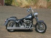 1996 Titan Roadrunner