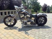 2014 Custom Built Chopper Hercules