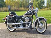 1993 - Harley-Davidson Softail Moo Glide