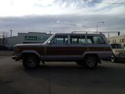 Jeep Wagoneer 360 V8 1991 - Jeep Wagoneer
