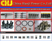 Repair Kit VE pump parts 800320 