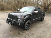 2010 Ford F-150 PLATINUM