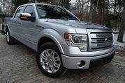 2013 Ford F-150 PLATINUM-EDITION