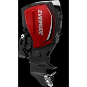 Evinrude E300ZCU Outboard Motor (E-TEC)